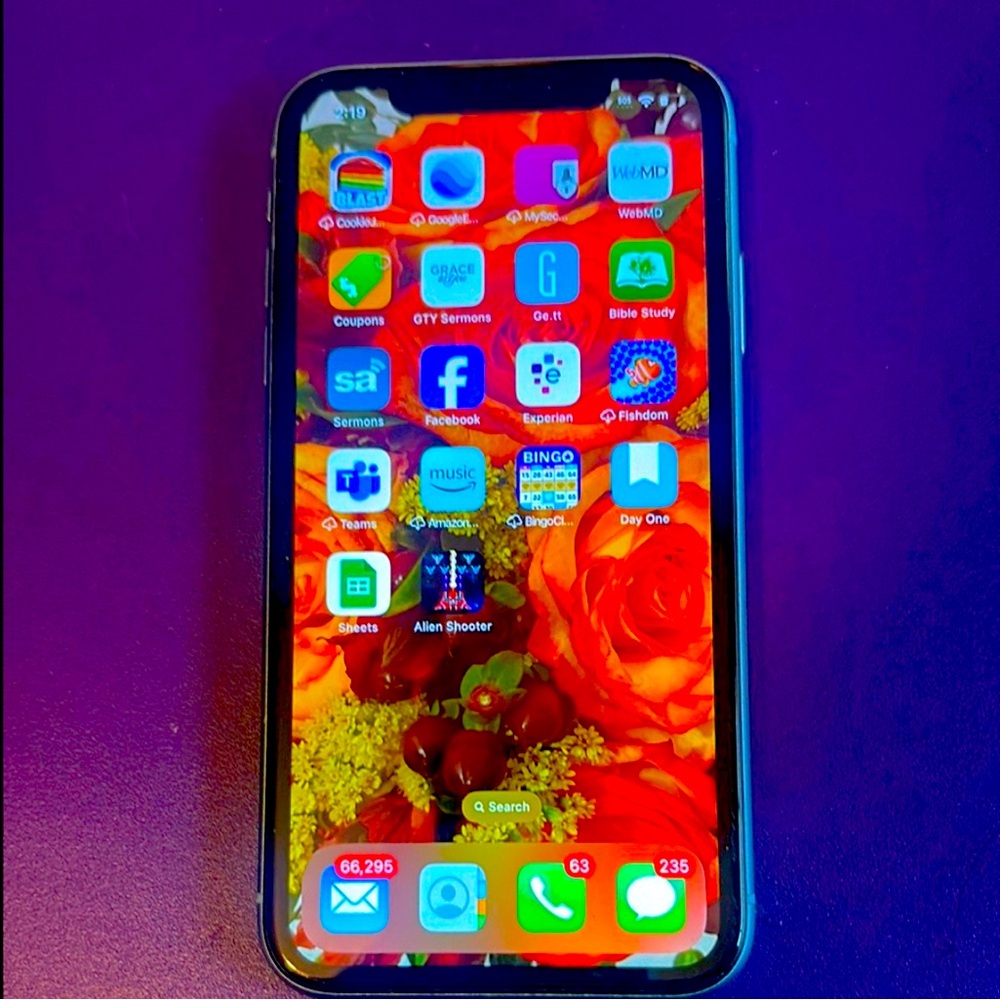 Blue Apple iPhone 10R